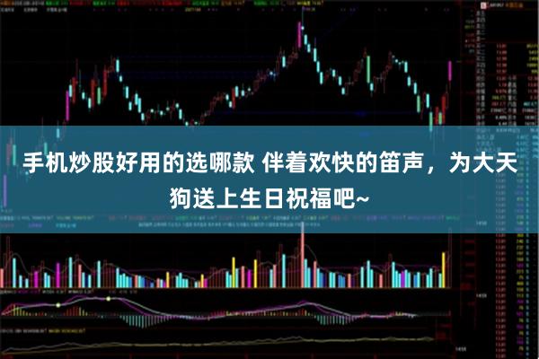 手机炒股好用的选哪款 伴着欢快的笛声，为大天狗送上生日祝福吧~